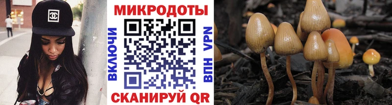 Псилоцибиновые грибы MAGIC MUSHROOMS  Купить  Курчалой 