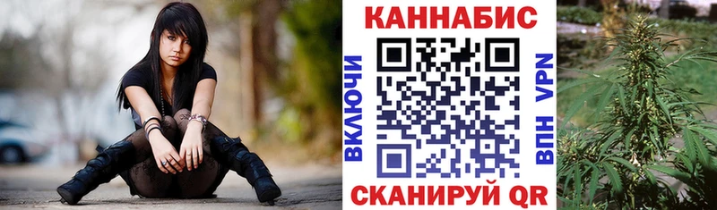Купить  Курчалой  Каннабис сатива 